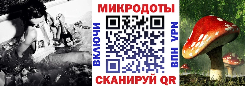Псилоцибиновые грибы Cubensis Верхотурье